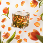 Auréa Bloom Light