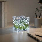 Auréa Bloom Light