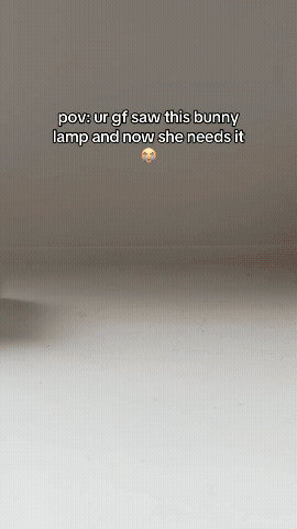 Mochi Bunny Light