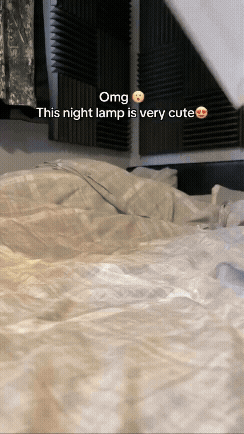 Mochi Bunny Light